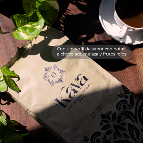 Café de especialidad en grano