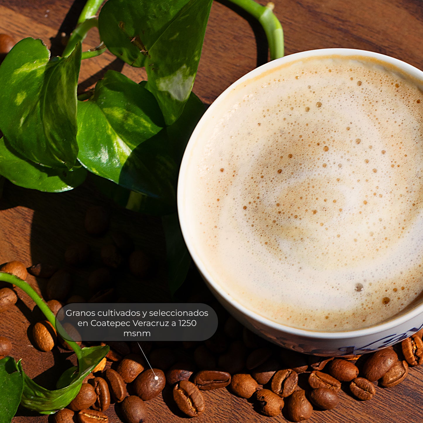 Café de especialidad molido